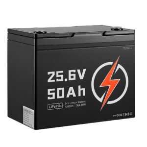 24V 50Ah LiFePO4 Lithium Battery, Bluetooth, Deep Cycle Lithium Rechargeable Battery, Built-in 30A BMS, Low Temp Protection, 4000+ Cycles, Max. 1280Wh, for RV, Camper, Trolling Motors, Marine