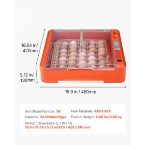 36 egg incubator automatic egg turner with led candler water tray temperature humidity control 360 view clear window poultry eggs incubators for hatching chicks ducks goose quails 3.jpg