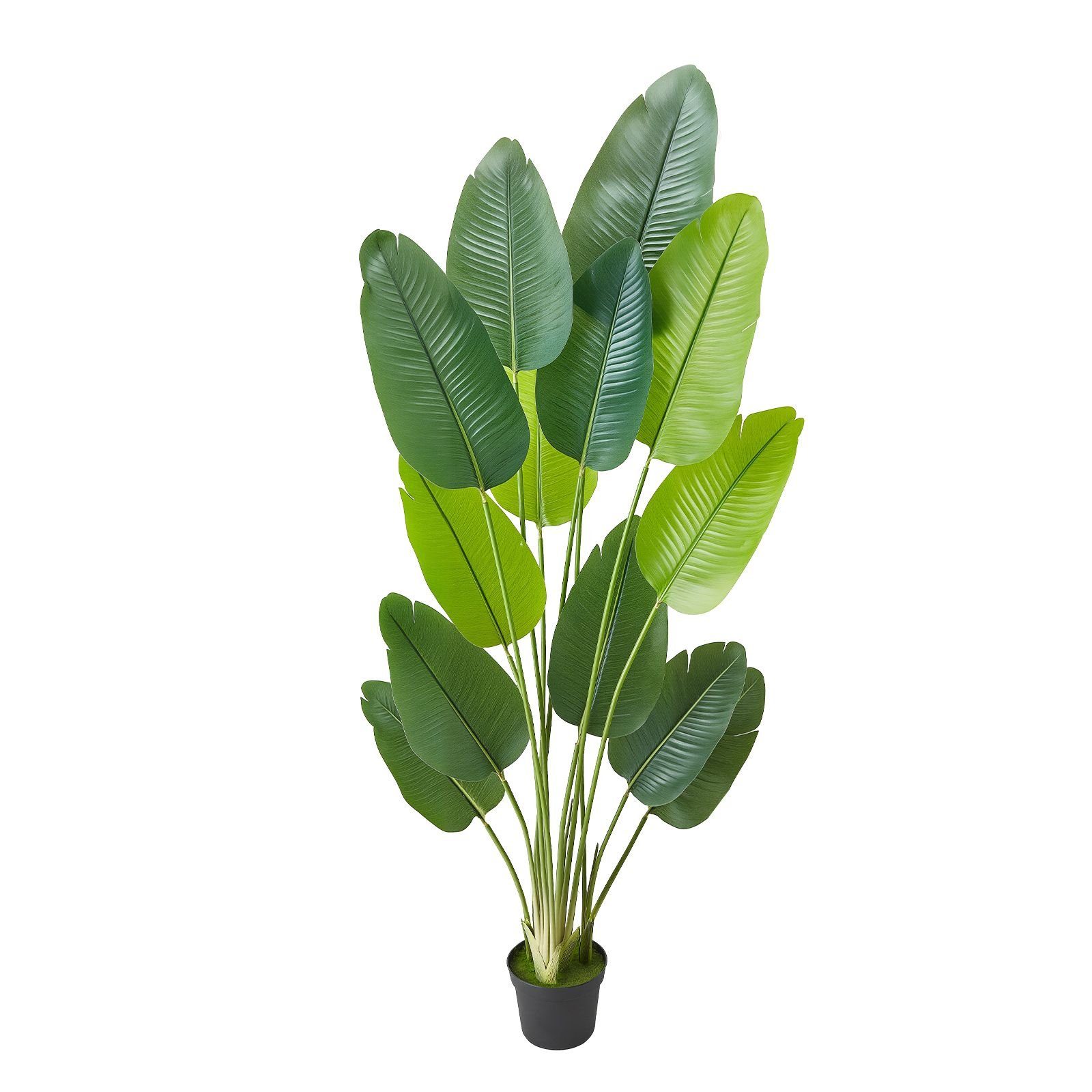 artificial bird of paradise 6 ft tall fake tropical plants with with 13 trunks white pot faux floor silk tree large trees for home office living room decor house warming indoor outdoor 11.jpg