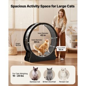 cat exercise wheel 48 in wooden cat running wheel for indoor cats up to 28 lbs cats treadmill with carpeted runway locking mechanism quiet kitten sport toys for pets fitness health black 1.jpg