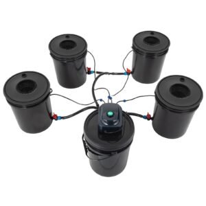 DWC Hydroponic System, 5 Gallon 5 Buckets, Deep Water Culture Growing Bucket, Hydroponics Grow Kit with Pump, Air Stone and Connected Reservoir, for Indoor/Outdoor Leafy Vegetables