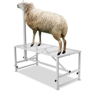 goat sheep stand 51x23 inch livestock stand metal livestock milking and shearing stand 21 to 33 adjustable height with headpiece and nose loop 500lbs loading weight white 4.jpg
