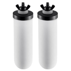 Water Filters Replacement, Purification Elements, Ceramic Replacement Filters, Easy to Replace Water Filter, Gravity Water Filter System, Compatible with Most Brands, Pack of 2, White