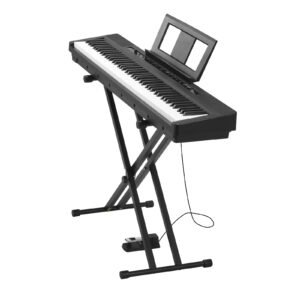 Weighted Digital Piano, 88 Keys Fully Weighted, Electric Piano Dual Keyboard & Speakers with X Stand, Sustain Pedal, Recording Function, 280 Tones, Wireless Connection, for Beginners, Black