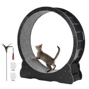 wooden cat exercise wheel 433 large cat treadmill wheel for indoor cats cat running wheel with detachable carpet cat teaser for runningwalkingtraining suitable for most cats black 3.jpg
