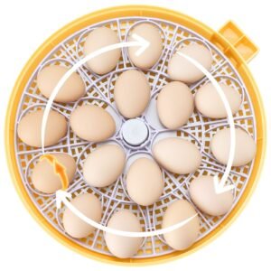 18 egg incubator, automatic egg turner with led candler, temperature & humidity control, 360° view clear window, auto water refill, poultry eggs incubators for hatching chicks ducks goose quail