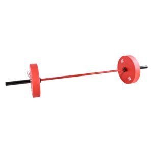 7ft barbell bar, fits 2 inch weight plates, barbell bar with knurled grip for strength training, weightlifting, squat, deadlift, bench press, curl, overhead press, 1000lbs/453kg capacity