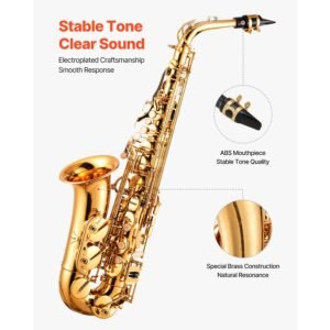 alto saxophone, e flat, brass saxophone beginner kit with carrying case, mouthpiece, straps, cleaning cloth rod, gloves, grease, neck strap, 23 keys alto sax kit, for beginners students, gold