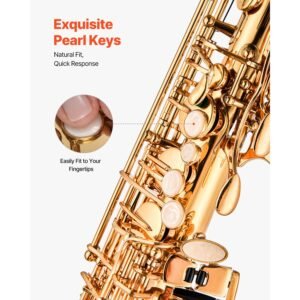 alto saxophone, e flat, brass saxophone beginner kit with carrying case, mouthpiece, straps, cleaning cloth rod, gloves, grease, neck strap, 23 keys alto sax kit, for beginners students, gold