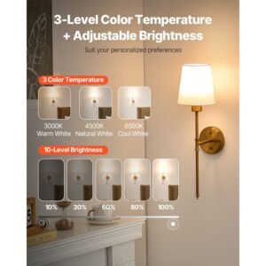 battery operated wall sconce set of 2, 4000mah rechargeable wireless wall lights with remote control, 30 lighting modes, 12 rgb colors & timer, dimmable wall lamp for living room bedroom hallway