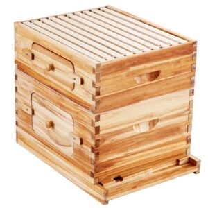 bee hive 20 frame bee hives starter kit, beeswax coated fir wood, 1 deep + 1 medium bee boxes langstroth beehive kit, transparent acrylic windows with foundations for beginners pro beekeepers