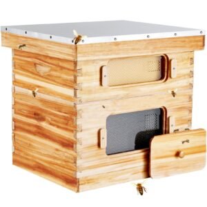 bee hive 20 frame bee hives starter kit, beeswax coated fir wood, 1 deep + 1 medium bee boxes langstroth beehive kit, transparent acrylic windows with foundations for beginners pro beekeepers