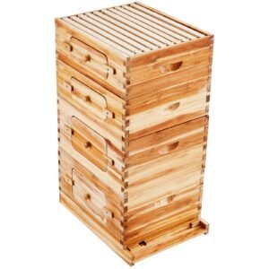 bee hive 40 frame bee hives starter kit, beeswax coated fir wood, 2 deep + 2 medium bee boxes langstroth beehive kit, transparent acrylic windows with foundations for beginners pro beekeepers