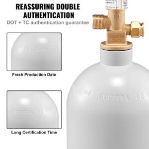 co2 regulator gauge with 0 60psi, heavy duty co2 gauge gas system, draft beer regulator with adjustable pressure regulator, check valve for draft beer homebrew (5 lbs co2 tank)