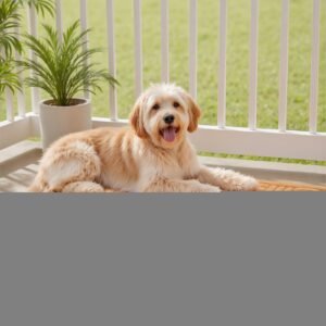 door mat, 29.53 x 17.72 inch, front door mat outside entrance with non slip rubber backing, dirt resistant & absorbent, easy to clean, low profile doormat for for entryway, patio, porch, beige