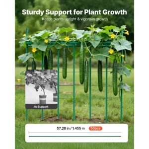 garden stakes 50 pack 5728 inch plastic coated metal tomato stakes garden sticks for plants support with pointed end and non slip bumps for growing climbing plants outdoor vegetables 1.jpg