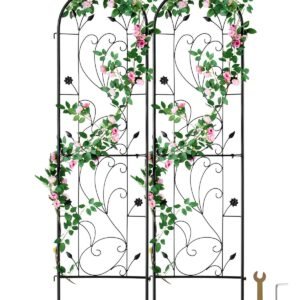garden trellis for climbing plants, 60 x 15 in, 2 packs rustproof metal garden flower trellis, outdoor climbing rose trellis cucumbers support, decorative clematis trellis for courtyards lawns