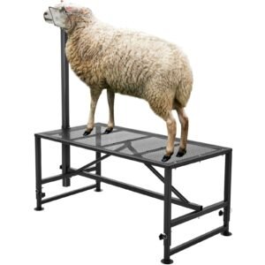 goat & sheep stand, 47x23 inch livestock stand, metal livestock milking and shearing stand 21" to 33" adjustable height, with headpiece and nose loop, 500lbs loading weight, black