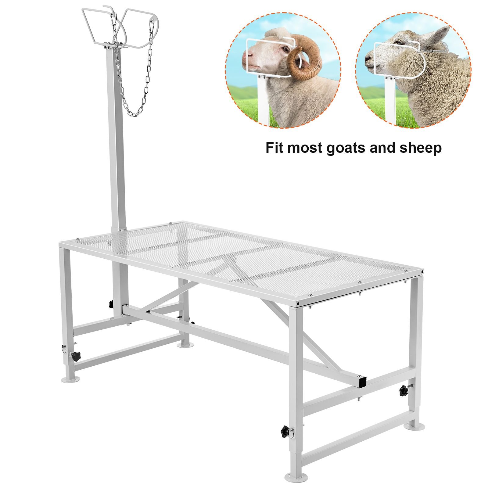 goat & sheep stand, 47x23 inch livestock stand, metal livestock milking and shearing stand 21" to 33" adjustable height, with headpiece and nose loop, 500lbs loading weight, white