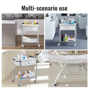 medical cart, 2 layer stainless steel cart 220 lbs weight capacity, lab utility cart with 360° silent wheels and a drawer for lab, clinic, kitchen, salon