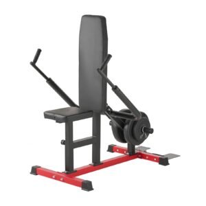 Seated Dip Machine, Tricep Bicep Press Down Machine with Cable Bar, Adjustable Seat, and Backrest, Exercise Equipment for Chest Training, Upper Body Push Fitness Workout, Hold up to 450LBS