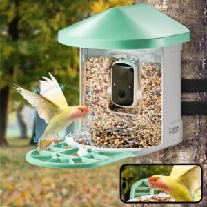 smart bird feeder with camera, 2k hd ai identify 10,000+ bird species, solar powered bird watching camera with auto capture & instant notify, wireless outdoor ideal gift for bird lovers (green)