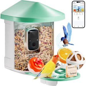 smart bird feeder with camera, 2k hd ai identify 10,000+ bird species, solar powered bird watching camera with auto capture & instant notify, wireless outdoor ideal gift for bird lovers (green)