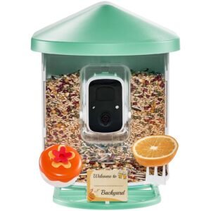 smart bird feeder with camera, 2k hd ai identify 10,000+ bird species, solar powered bird watching camera with auto capture & instant notify, wireless outdoor ideal gift for bird lovers (green)
