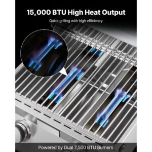 tabletop gas grill, 2 burner stainless steel portable propane grill, with built in thermometer, travel locks, weatherproof lid, 15,000 btu total, for outdoor cooking, patio, party, camping, rv