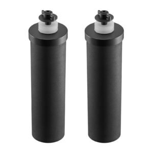Water Filters Replacement, Purification Elements, Activated Carbon Replacement Filters, Easy to Replace Water Filter, Gravity Water Filter System, Compatible with Most Brands, Pack of 2, Black