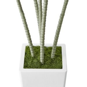 artificial dracaena tree 5 ft, fake palm tropical plants with white tall planter, faux floor silk plant in pot, large trees for home office living room decor house warming, indoor outdoor
