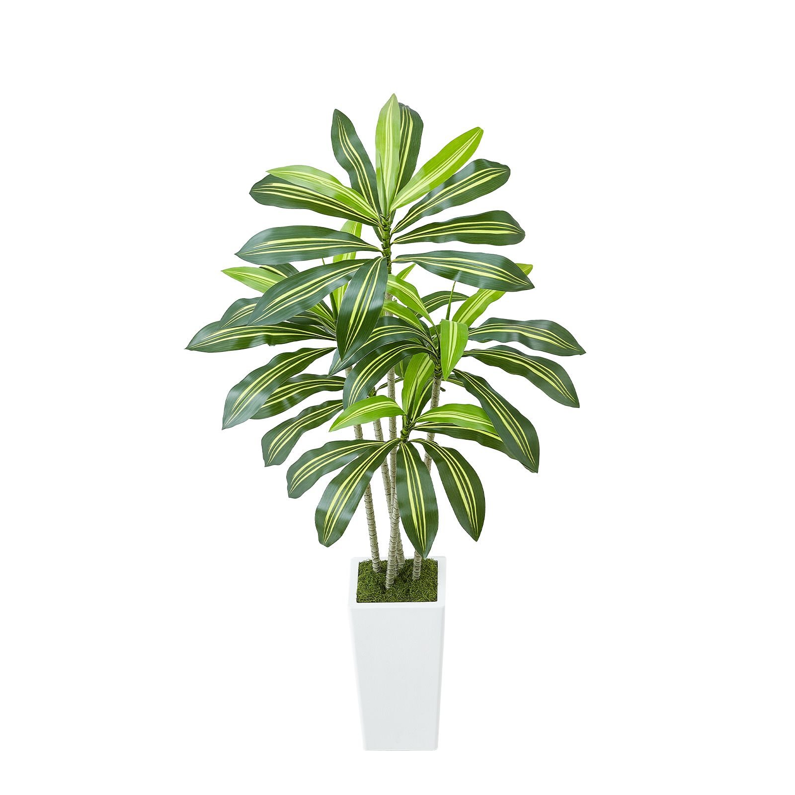 artificial dracaena tree 5 ft, fake palm tropical plants with white tall planter, faux floor silk plant in pot, large trees for home office living room decor house warming, indoor outdoor
