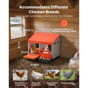 chicken nesting boxes, 2 compartments, easy egg collection, wall mount, easy to assemble, galvanized steel and high strength plastic, roll away nesting boxes for chickens laying eggs, orange