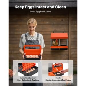 chicken nesting boxes, 2 compartments, easy egg collection, wall mount, easy to assemble, galvanized steel and high strength plastic, roll away nesting boxes for chickens laying eggs, orange