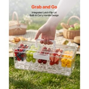 chilled condiment server caddy, 5 compartment ice cooled serving container, plastic fruit garnish tray platter with lid, for taco salad bar accessories, party home restaurant supplies