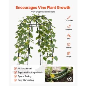 cucumber trellis, u shape garden trellises for raised bed, metal arch plant support for vine, climbing plants outdoor, peas, beans, zucchini, tomato, squash, flower (32.01 x 31.5 x 80.71 in)