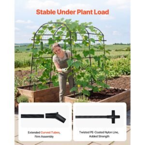 cucumber trellis, u shape garden trellises for raised bed, metal arch plant support for vine, climbing plants outdoor, peas, beans, zucchini, tomato, squash, flower (70.87 x 44.09 x 82.99 in)