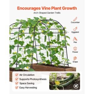 cucumber trellis, u shape garden trellises for raised bed, metal arch plant support for vine, climbing plants outdoor, peas, beans, zucchini, tomato, squash, flower (70.87 x 44.09 x 82.99 in)