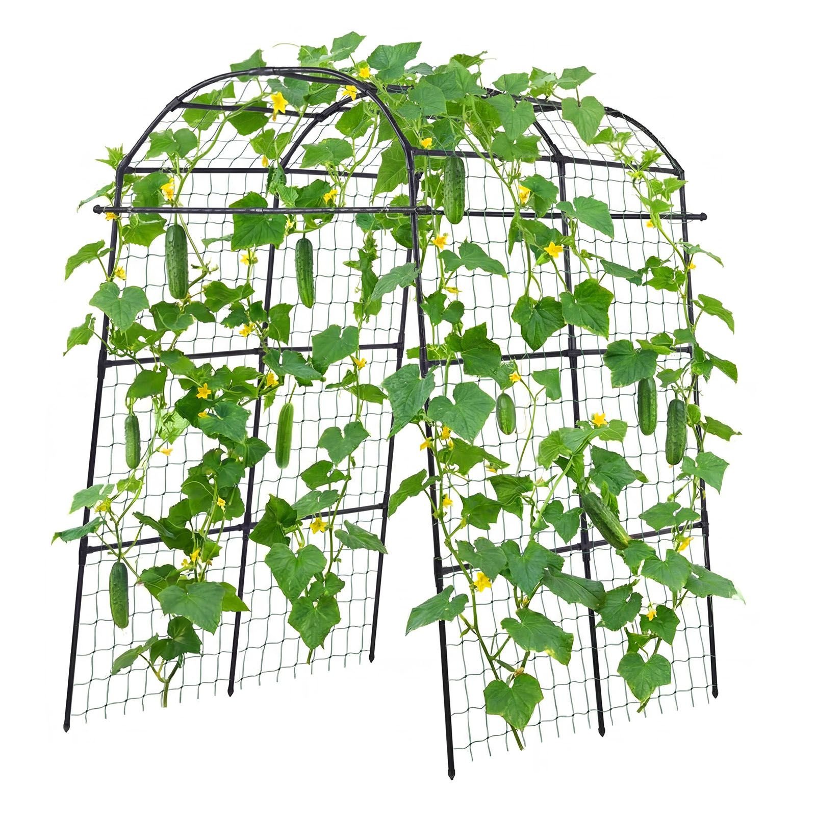 cucumber trellis, u shape garden trellises for raised bed, metal arch plant support for vine, climbing plants outdoor, peas, beans, zucchini, tomato, squash, flower (70.87 x 44.09 x 82.99 in)
