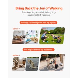 dog wheelchair for back legs, lightweight 2 wheels pet wheelchair, height, width & length adjustable, dog cart with shock absorbing wheels, for injured, disabled dogs 35 48 lbs, medium