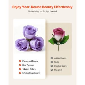 forever flowers, 50 preserved roses in a box, eternal flowers immortal bouquet birthday present for women her wife mothers, anniversary, valentine's day,christmas, lavender purple