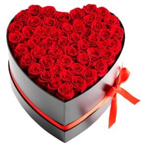 Forever Flowers, 50 Preserved Roses in a Heart Shape Box, Eternal Flowers Immortal Bouquet Birthday Present for Delivery Prime Women Her Wife Mothers, Anniversary, Valentine's Day,Christmas, Red