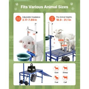 goat milking stand, 600 lbs heavy duty foldable goat stand with ramp, feed bin & wheels, adjustable headpiece & basket, stanchion for grooming & hoof trimming, metal livestock platform for sheep