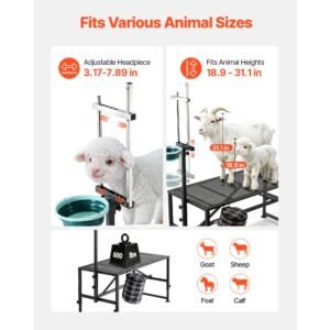 goat milking stand, 600 lbs heavy duty goat stand with feed bin, adjustable headpiece & tool basket, stanchion for grooming & hoof trimming, metal livestock platform for sheep, 47" x 23", black