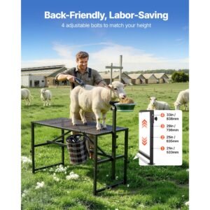 goat milking stand, 600 lbs heavy duty goat stand with feed bin, adjustable headpiece & tool basket, stanchion for grooming & hoof trimming, metal livestock platform for sheep, 47" x 23", black