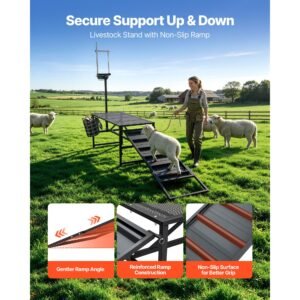 goat milking stand, 600 lbs heavy duty goat stand with ramp & feed bin, adjustable headpiece & tool basket, stanchion for grooming & hoof trimming, metal livestock platform for sheep lamb, black