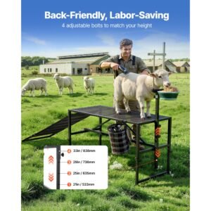goat milking stand, 600 lbs heavy duty goat stand with ramp & feed bin, adjustable headpiece & tool basket, stanchion for grooming & hoof trimming, metal livestock platform for sheep lamb, black