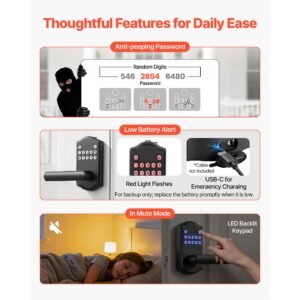 keyless entry door lock with handle, electronic lever door handle with keypad, customizable user codes, keyed entry, auto lock, anti peeking password, backlit keypad, for home, matte black